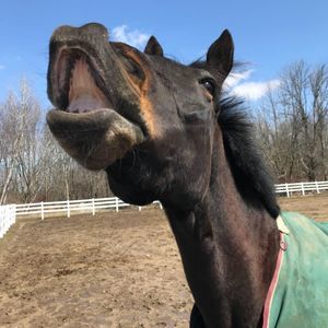 Meet your Posher, Claire